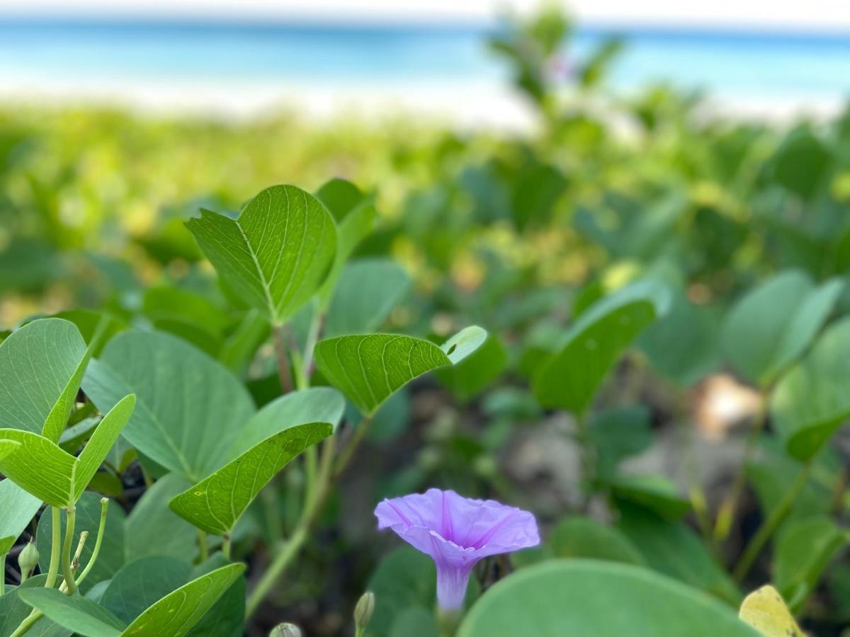 Lanta Smile Inn Ko Lanta Dış mekan fotoğraf